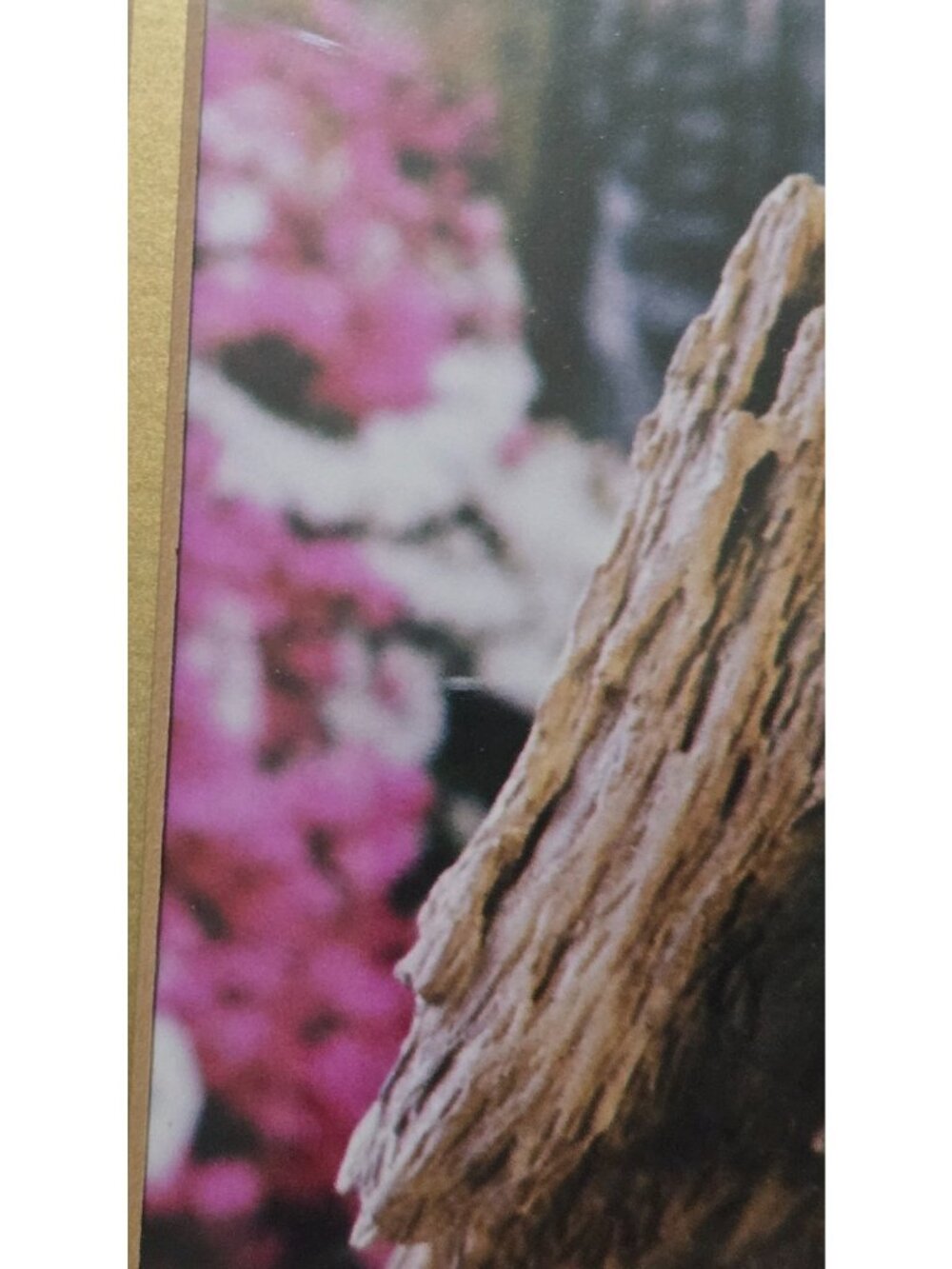 Gold Framed Chickadee Floral Butterfly Photo Print Grandma Country Cottage - Picture 10 of 10